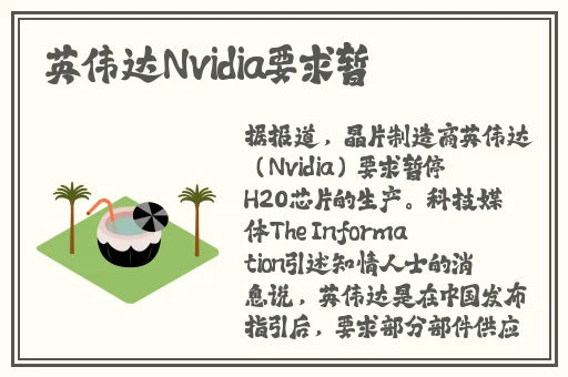 久久99精品久久久久久久清纯